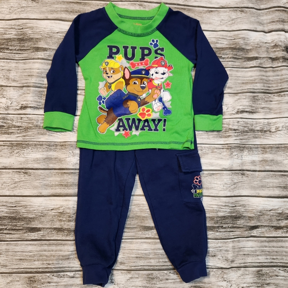 Nickelodeon Blue And Green paw patrol outfit